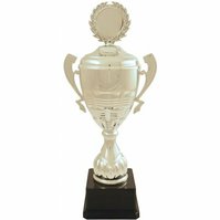 Sportovní luxusní stříbrný pohár 36 cm